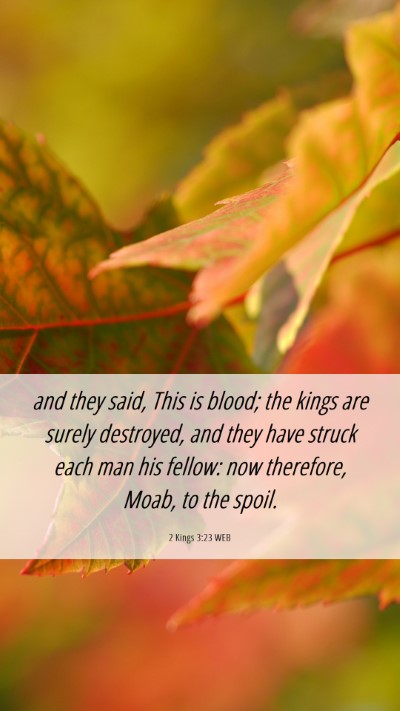 Picture 06 - 2 Kings 3:23 WEB Mobile Phone Wallpaper - and they said, This is blood; the kings are - Mobile Bible Verse Wallpaper