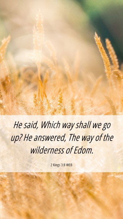 Picture 06 - 2 Kings 3:8 WEB Mobile Phone Wallpaper - He said, Which way shall we go up? He answered, - Mobile Bible Verse Wallpaper