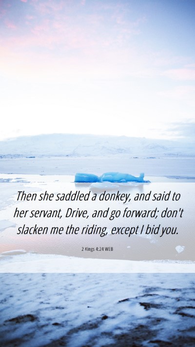 Picture 06 - 2 Kings 4:24 WEB Mobile Phone Wallpaper - Then she saddled a donkey, and said to her - Mobile Bible Verse Wallpaper