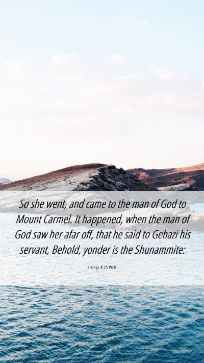 Picture 06 - 2 Kings 4:25 WEB Mobile Phone Wallpaper - So she went, and came to the man of God to Mount - Mobile Bible Verse Wallpaper