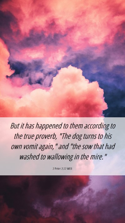Picture 06 - 2 Peter 2:22 WEB Mobile Phone Wallpaper - But it has happened to them according to the true - Mobile Bible Verse Wallpaper