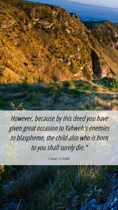 Picture 06 - 2 Samuel 12:14 WEB Mobile Phone Wallpaper - However, because by this deed you have given - Mobile Bible Verse Wallpaper