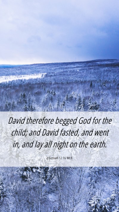 Picture 06 - 2 Samuel 12:16 WEB Mobile Phone Wallpaper - David therefore begged God for the child; and - Mobile Bible Verse Wallpaper
