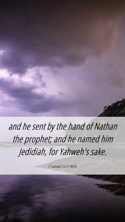Picture 06 - 2 Samuel 12:25 WEB Mobile Phone Wallpaper - and he sent by the hand of Nathan the prophet; - Mobile Bible Verse Wallpaper