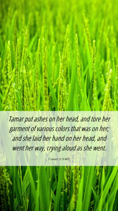 Picture 06 - 2 Samuel 13:19 WEB Mobile Phone Wallpaper - Tamar put ashes on her head, and tore her garment - Mobile Bible Verse Wallpaper