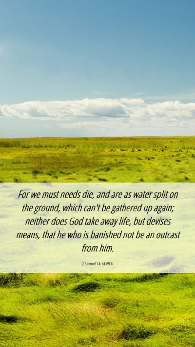 Picture 06 - 2 Samuel 14:14 WEB Mobile Phone Wallpaper - For we must needs die, and are as water split on - Mobile Bible Verse Wallpaper