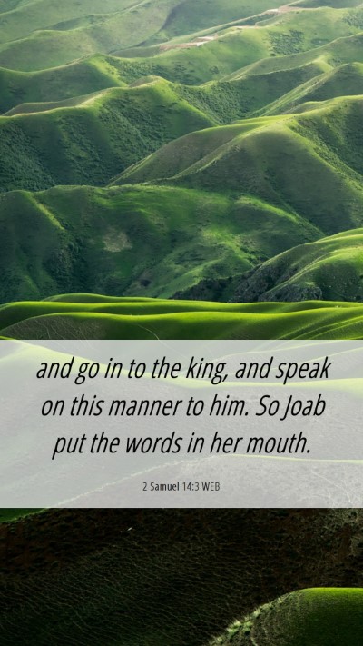 Picture 06 - 2 Samuel 14:3 WEB Mobile Phone Wallpaper - and go in to the king, and speak on this manner - Mobile Bible Verse Wallpaper