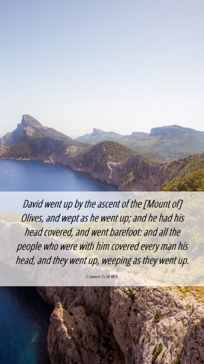 Picture 06 - 2 Samuel 15:30 WEB Mobile Phone Wallpaper - David went up by the ascent of the [Mount of] - Mobile Bible Verse Wallpaper