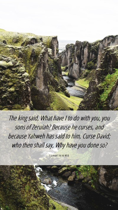 Picture 06 - 2 Samuel 16:10 WEB Mobile Phone Wallpaper - The king said, What have I to do with you, you - Mobile Bible Verse Wallpaper