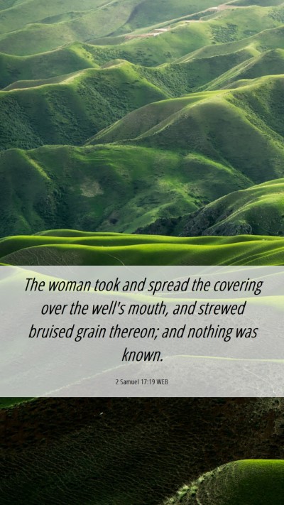 Picture 06 - 2 Samuel 17:19 WEB Mobile Phone Wallpaper - The woman took and spread the covering over the - Mobile Bible Verse Wallpaper