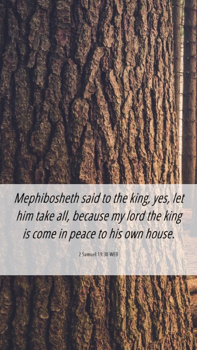 Picture 06 - 2 Samuel 19:30 WEB Mobile Phone Wallpaper - Mephibosheth said to the king, yes, let him take - Mobile Bible Verse Wallpaper
