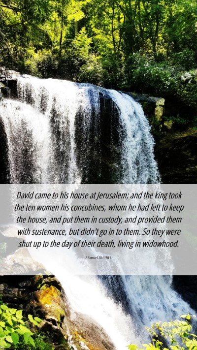 Picture 06 - 2 Samuel 20:3 WEB Mobile Phone Wallpaper - David came to his house at Jerusalem; and the - Mobile Bible Verse Wallpaper