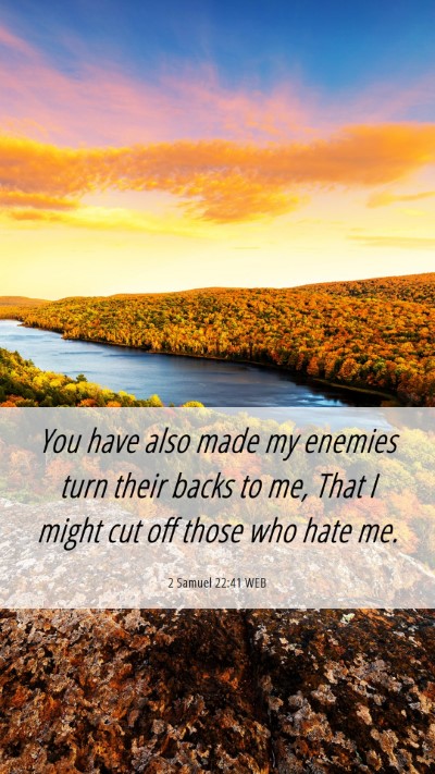 Picture 06 - 2 Samuel 22:41 WEB Mobile Phone Wallpaper - You have also made my enemies turn their backs to - Mobile Bible Verse Wallpaper