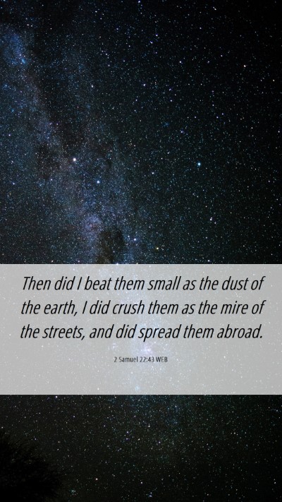 Picture 06 - 2 Samuel 22:43 WEB Mobile Phone Wallpaper - Then did I beat them small as the dust of the - Mobile Bible Verse Wallpaper