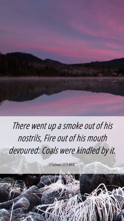 Picture 06 - 2 Samuel 22:9 WEB Mobile Phone Wallpaper - There went up a smoke out of his nostrils, Fire - Mobile Bible Verse Wallpaper