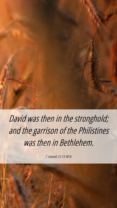Picture 06 - 2 Samuel 23:14 WEB Mobile Phone Wallpaper - David was then in the stronghold; and the - Mobile Bible Verse Wallpaper
