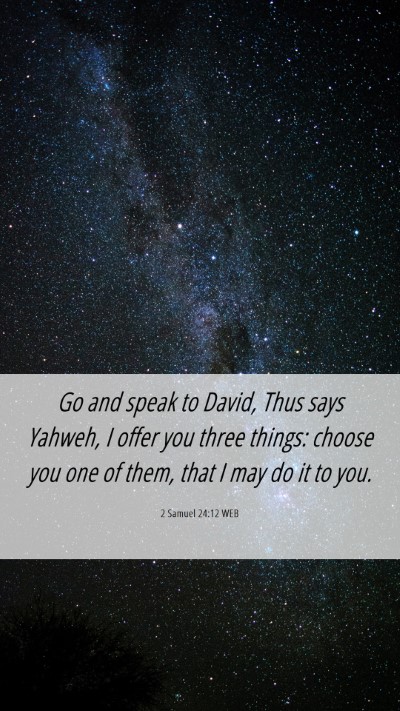 Picture 06 - 2 Samuel 24:12 WEB Mobile Phone Wallpaper - Go and speak to David, Thus says Yahweh, I offer - Mobile Bible Verse Wallpaper