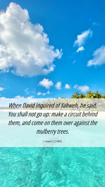 Picture 06 - 2 Samuel 5:23 WEB Mobile Phone Wallpaper - When David inquired of Yahweh, he said, You shall - Mobile Bible Verse Wallpaper