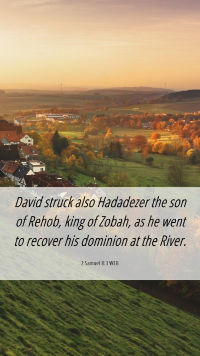 Picture 06 - 2 Samuel 8:3 WEB Mobile Phone Wallpaper - David struck also Hadadezer the son of Rehob, - Mobile Bible Verse Wallpaper