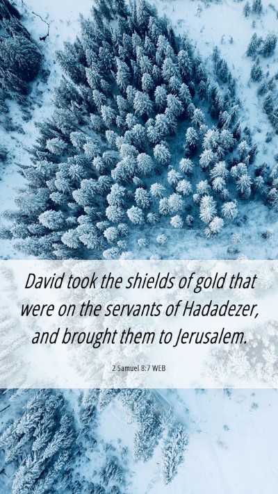 Picture 06 - 2 Samuel 8:7 WEB Mobile Phone Wallpaper - David took the shields of gold that were on the - Mobile Bible Verse Wallpaper