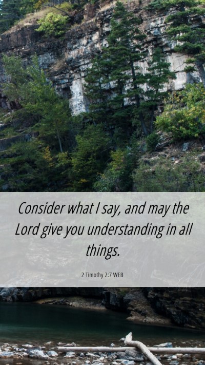 Picture 06 - 2 Timothy 2:7 WEB Mobile Phone Wallpaper - Consider what I say, and may the Lord give you - Mobile Bible Verse Wallpaper