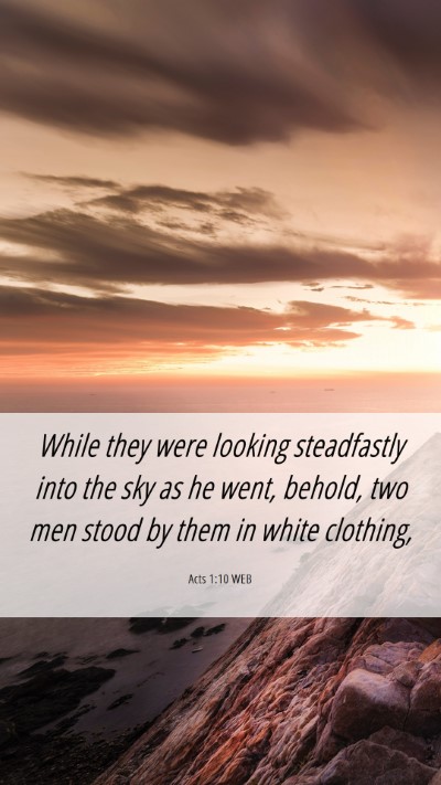 Picture 06 - Acts 1:10 WEB Mobile Phone Wallpaper - While they were looking steadfastly into the sky - Mobile Bible Verse Wallpaper
