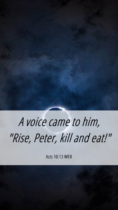 Picture 06 - Acts 10:13 WEB Mobile Phone Wallpaper - A voice came to him, 