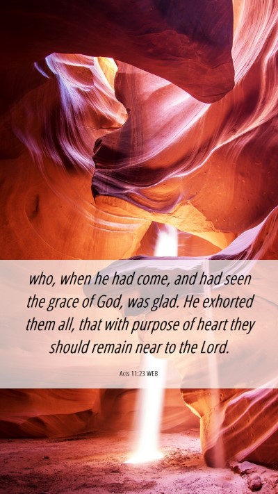 Picture 06 - Acts 11:23 WEB Mobile Phone Wallpaper - who, when he had come, and had seen the grace of - Mobile Bible Verse Wallpaper