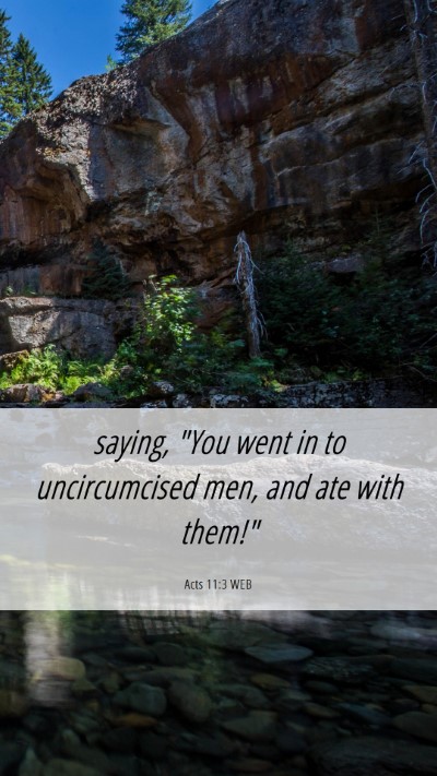 Picture 06 - Acts 11:3 WEB Mobile Phone Wallpaper - saying, 