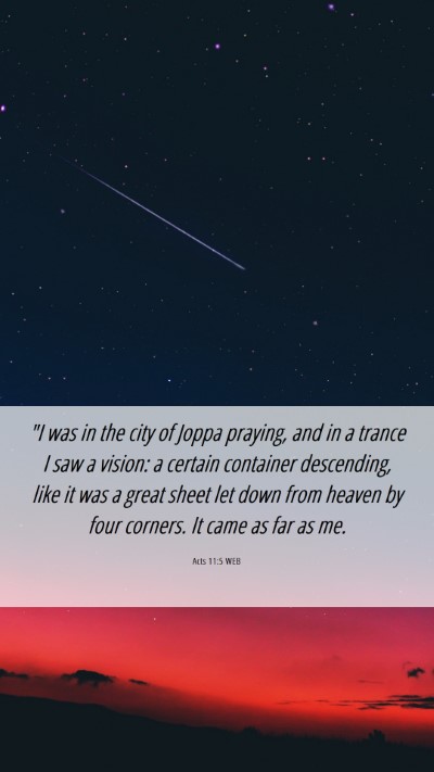 Picture 06 - Acts 11:5 WEB Mobile Phone Wallpaper - 