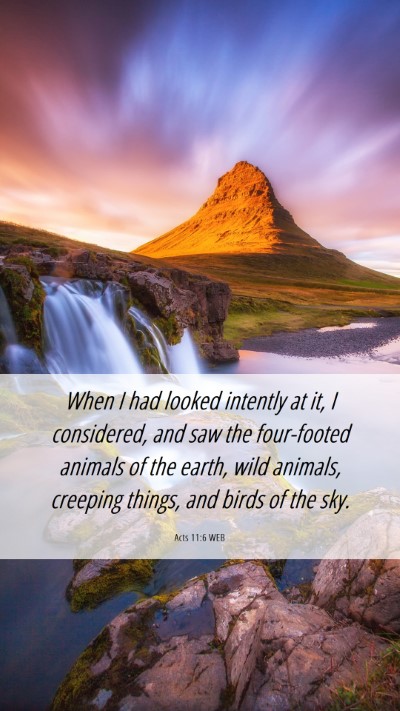 Picture 06 - Acts 11:6 WEB Mobile Phone Wallpaper - When I had looked intently at it, I considered, - Mobile Bible Verse Wallpaper