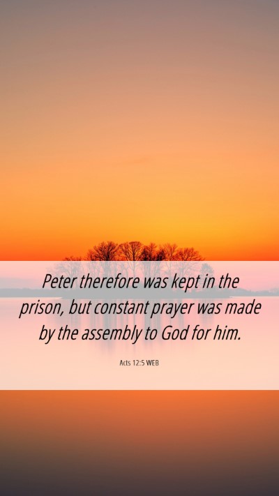 Picture 06 - Acts 12:5 WEB Mobile Phone Wallpaper - Peter therefore was kept in the prison, but - Mobile Bible Verse Wallpaper