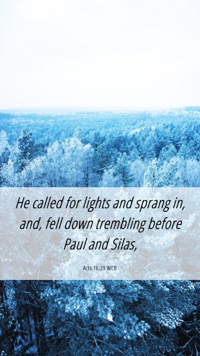 Picture 06 - Acts 16:29 WEB Mobile Phone Wallpaper - He called for lights and sprang in, and, fell - Mobile Bible Verse Wallpaper