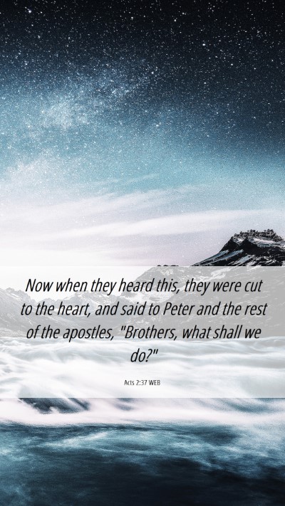 Picture 06 - Acts 2:37 WEB Mobile Phone Wallpaper - Now when they heard this, they were cut to the - Mobile Bible Verse Wallpaper