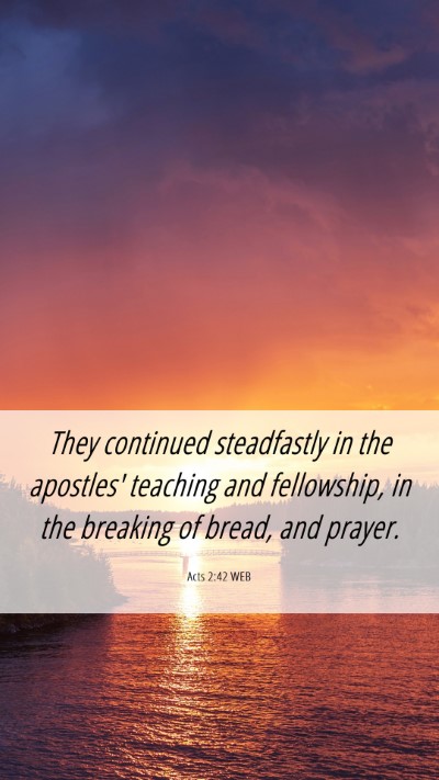 Picture 06 - Acts 2:42 WEB Mobile Phone Wallpaper - They continued steadfastly in the apostles' - Mobile Bible Verse Wallpaper