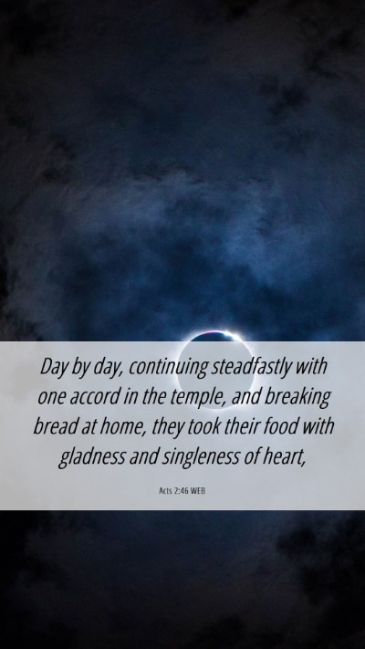 Picture 06 - Acts 2:46 WEB Mobile Phone Wallpaper - Day by day, continuing steadfastly with one - Mobile Bible Verse Wallpaper
