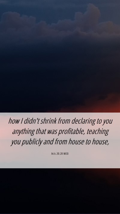 Picture 06 - Acts 20:20 WEB Mobile Phone Wallpaper - how I didn't shrink from declaring to you - Mobile Bible Verse Wallpaper