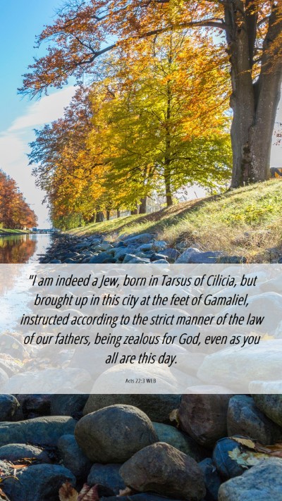 Picture 06 - Acts 22:3 WEB Mobile Phone Wallpaper - 