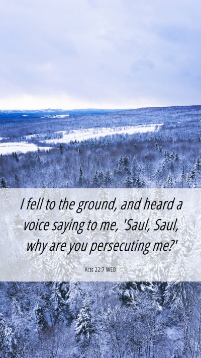 Picture 06 - Acts 22:7 WEB Mobile Phone Wallpaper - I fell to the ground, and heard a voice saying to - Mobile Bible Verse Wallpaper