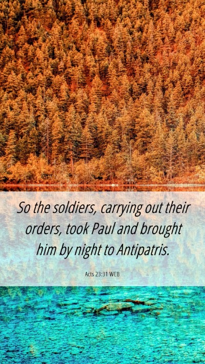 Picture 06 - Acts 23:31 WEB Mobile Phone Wallpaper - So the soldiers, carrying out their orders, took - Mobile Bible Verse Wallpaper