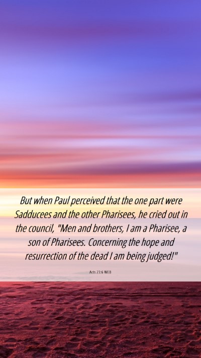 Picture 06 - Acts 23:6 WEB Mobile Phone Wallpaper - But when Paul perceived that the one part were - Mobile Bible Verse Wallpaper