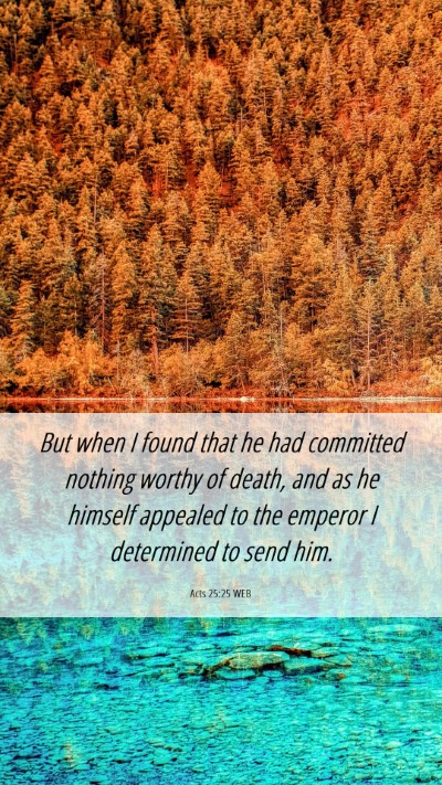 Picture 06 - Acts 25:25 WEB Mobile Phone Wallpaper - But when I found that he had committed nothing - Mobile Bible Verse Wallpaper