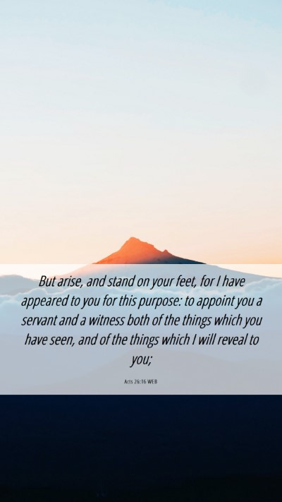 Picture 06 - Acts 26:16 WEB Mobile Phone Wallpaper - But arise, and stand on your feet, for I have - Mobile Bible Verse Wallpaper