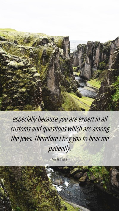 Picture 06 - Acts 26:3 WEB Mobile Phone Wallpaper - especially because you are expert in all customs - Mobile Bible Verse Wallpaper
