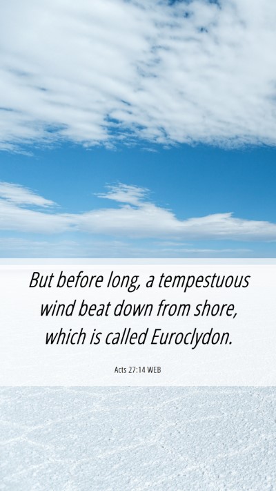 Picture 06 - Acts 27:14 WEB Mobile Phone Wallpaper - But before long, a tempestuous wind beat down - Mobile Bible Verse Wallpaper