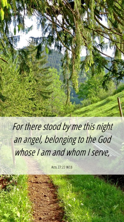 Picture 06 - Acts 27:23 WEB Mobile Phone Wallpaper - For there stood by me this night an angel, - Mobile Bible Verse Wallpaper