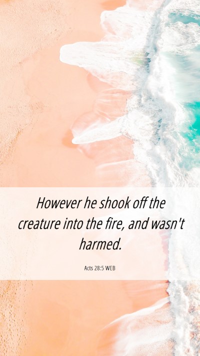 Picture 06 - Acts 28:5 WEB Mobile Phone Wallpaper - However he shook off the creature into the fire, - Mobile Bible Verse Wallpaper