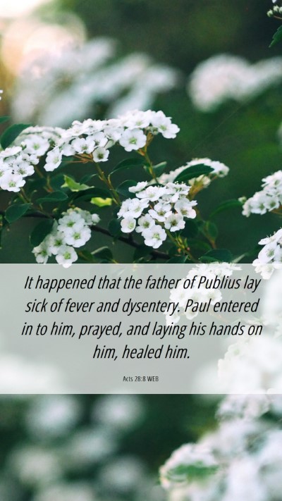 Picture 06 - Acts 28:8 WEB Mobile Phone Wallpaper - It happened that the father of Publius lay sick - Mobile Bible Verse Wallpaper