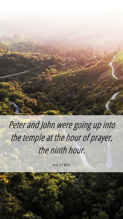Picture 06 - Acts 3:1 WEB Mobile Phone Wallpaper - Peter and John were going up into the temple at - Mobile Bible Verse Wallpaper