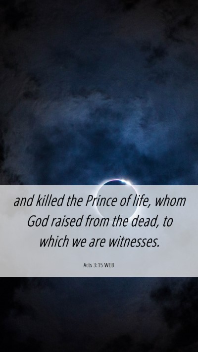 Picture 06 - Acts 3:15 WEB Mobile Phone Wallpaper - and killed the Prince of life, whom God raised - Mobile Bible Verse Wallpaper